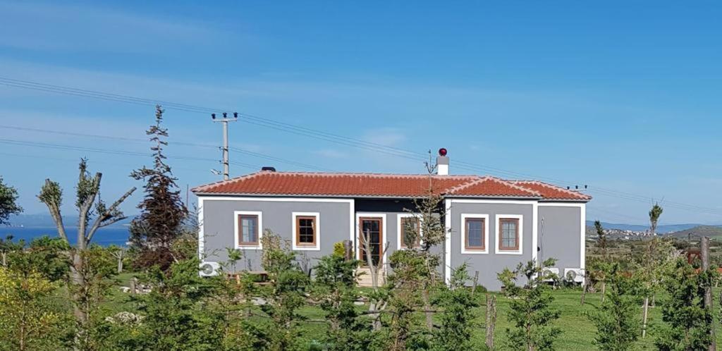 Adayel Bagevi & Butik Otel Bozcaada Exterior foto